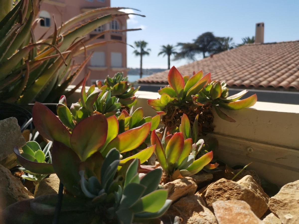 Ofdl B T1 Bandol - Briotine Foyalais Apartamento Exterior foto